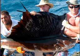 Sportfishing near Playa Grande, catch and release marlin & other trophy fish