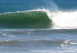 Beach Activities around Playa Grande include Surfing in Costa Rica